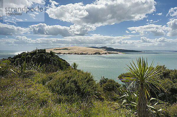 Neuseeland  Nordinsel  Northland  Far North District  Hokianga Harbour Entrance mit Tasmanischer See  North Head und riesiger Sanddüne