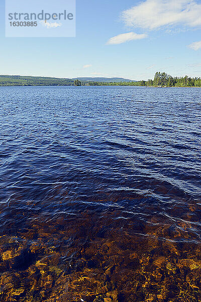 Schweden  Stroemsund  Morgensonne auf einem See