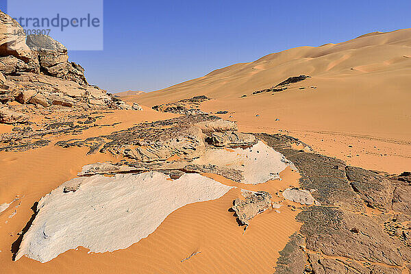 Afrika  Algerien  Sahara  Tassili N'Ajjer National Park  Tadrart  Sanddünen und Sandsteinfelsen am Oued in Djerane