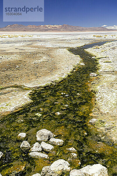 Bolivien  Atacama-Wüste  Salar de Chalviri