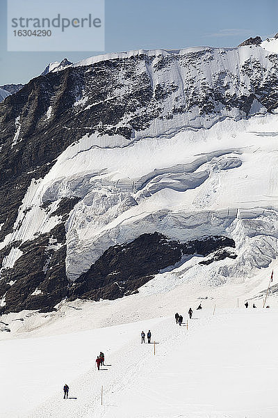 Schweiz  Berner Oberland  Grindelwald Menschen wandern am Aletschgletscher