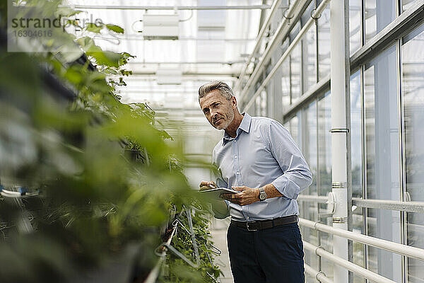 Männlicher Fachmann mit digitalem Tablet  der Pflanzen im Gewächshaus analysiert