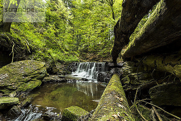 Deutschland  Baden-Württemberg  Schwäbisch-Fränkischer Naturpark  Struempfelbachschlucht mit Wasserfall