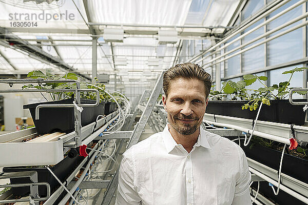 Lächelnder männlicher Unternehmer inmitten von Pflanzen  die im Gewächshaus wachsen