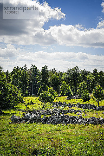 Schweden  Smaland  Kalmar laen  Vimmerby  Vassemala  Natursteinmauer  erratische Blöcke