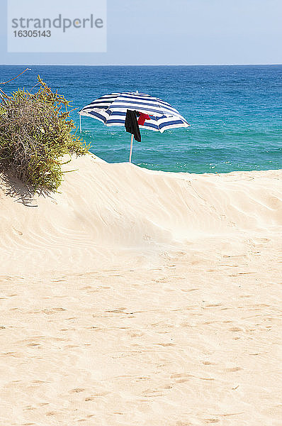 Spanien  Fuerteventura  Corralejo  Parque Natural de Corralejo  Sonnenschirm am Strand