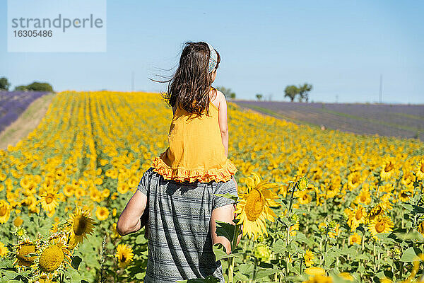 Vater trägt Tochter auf den Schultern in einem Sonnenblumenfeld im Sommer