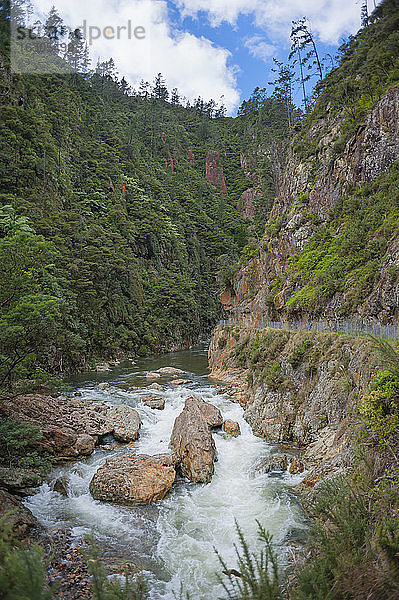 Neuseeland  Nordinsel  Waikato  Karangahake-Schlucht  Waitawheta-Fluss
