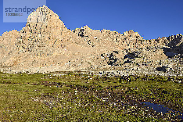 Türkei  Hoch- oder Antitaurusgebirge  Aladaglar-Nationalpark  Yedigoeller-Hochebene  Packpferdweide unterhalb des Direktas-Bergs