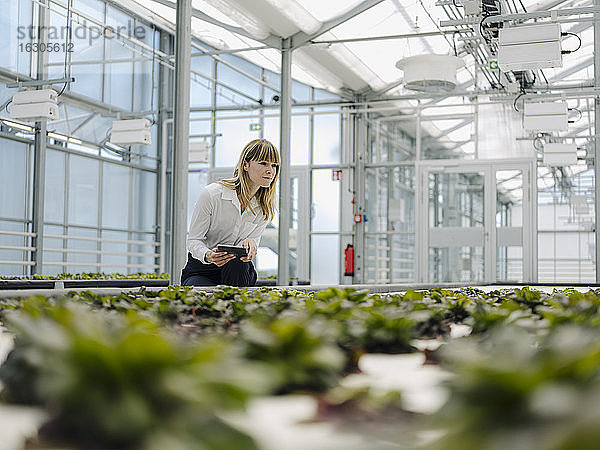 Geschäftsfrau mit digitalem Tablet  die Pflanzen im Gewächshaus untersucht