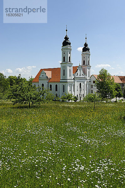 Deutschland  Bayern  Bayerisch-Schwaben  ehemalige Benediktiner-Klosterkirche Mariä Himmelfahrt und Peter und Paul  Irsee