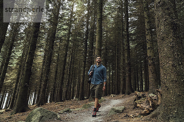 Männlicher Wanderer auf einem Wanderweg inmitten von Bäumen in einem Waldgebiet