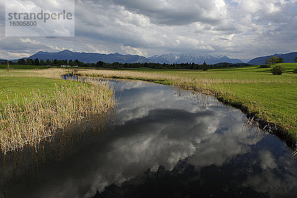 Deutschland  Ansicht einer Landschaft mit Häusern im Hintergrund  bei Uffing am Staffelsee