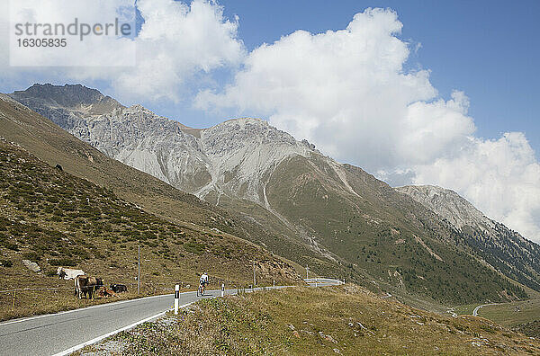 Schweiz  Graubünden  Radfahrer auf dem Umbrailpass