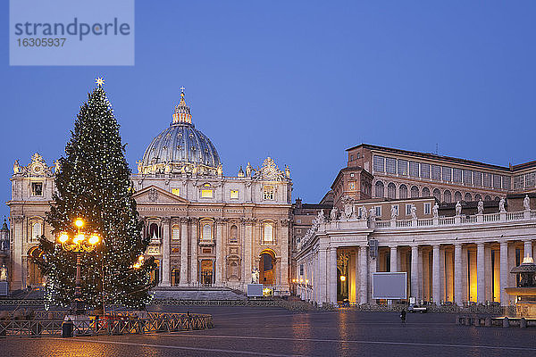 Italien  Vatikan  Rom  Piazza San Pietro  Petersdom und Weihnachtsbaum am Morgen