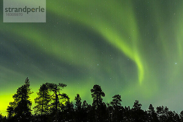 Polarlichter in Finnland bei Saariskalae