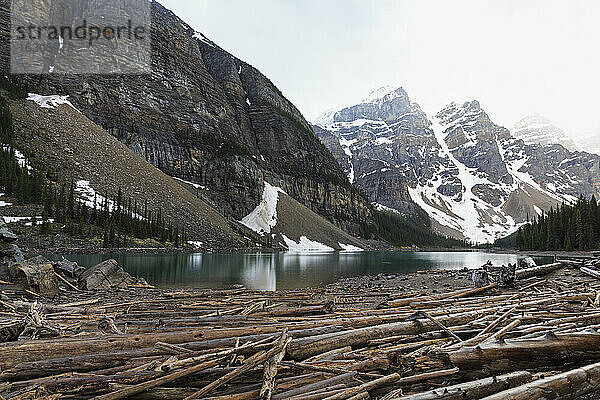 Kanada  Alberta  Banff National Park  Totholz am Moraine Lake