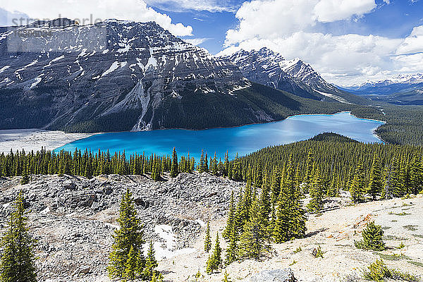 Kanada  Alberta  Banff National Park  Peyto Lake vom Bow Summit aus gesehen