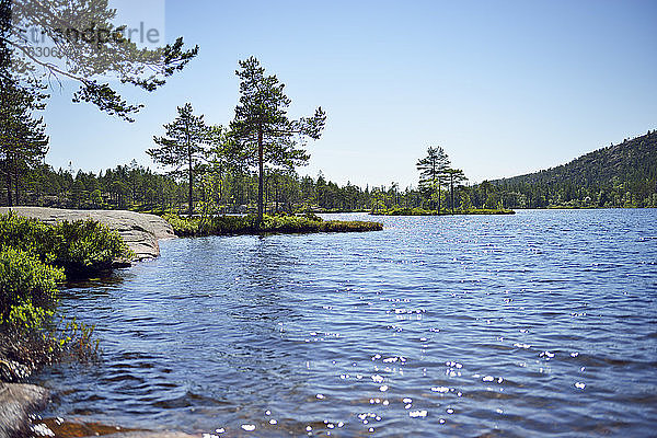 Schweden  Oernskoeldsvik  See Taernaettvattnen im Skuleskogen-Nationalpark