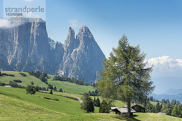 Italien  Südtirol  Seiseralm  Schlern und Santner Gipfel