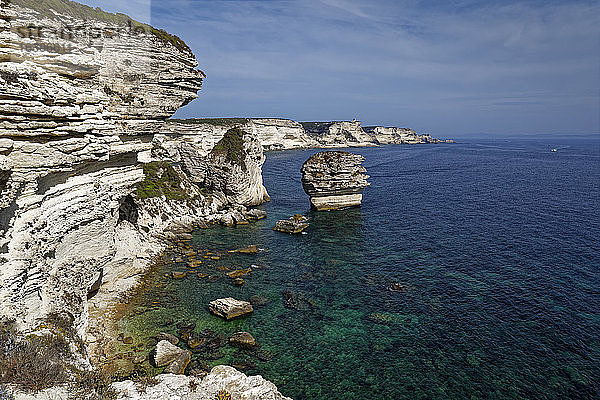 Frankreich  Corse-du-Sud  Bonifacio  Blick auf die Kreidefelsen an der Küste
