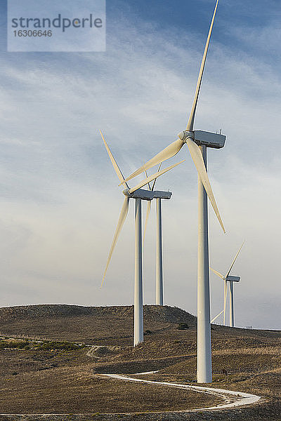Spanien  Andalusien  Cadiz  Windkraftanlagen auf einem Feld