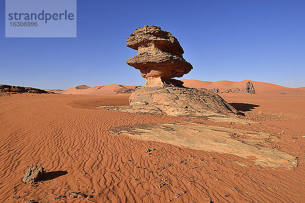 Algerien  Sahara  Nationalpark Tassili N'Ajjer  Region Tadrart  Pilzfelsen  Hoodoo bei Tin Merzouga