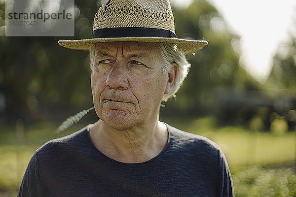 Zerknitterter Mann mit Hut  der die Ernte im Mund hält  während er auf einem Feld wegschaut