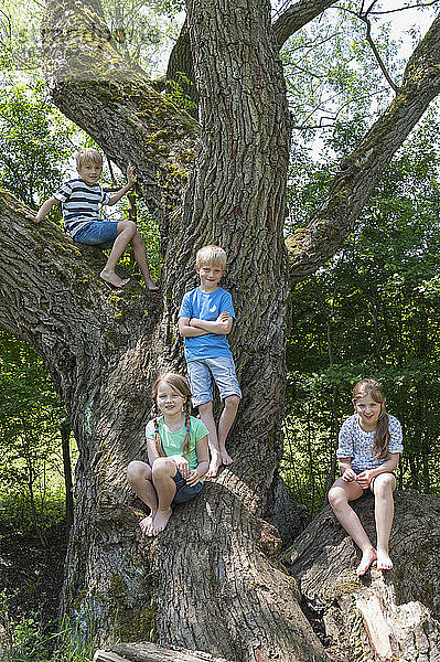 Deutschland  Bayern  vier Kinder sitzen auf einem Baum im Stadtwald