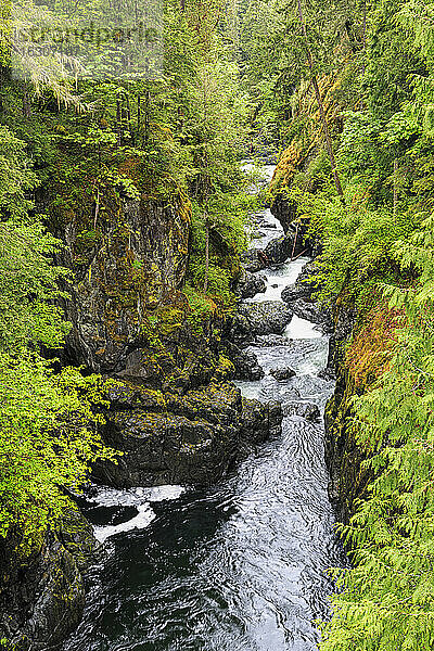 Kanada  Britisch-Kolumbien  Vancouver Island  Englishman River Falls Provincial Park