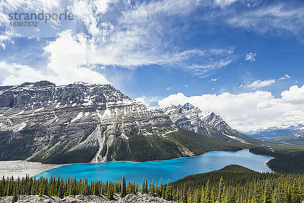 Kanada  Alberta  Banff National Park  Peyto Lake vom Bow Summit aus gesehen