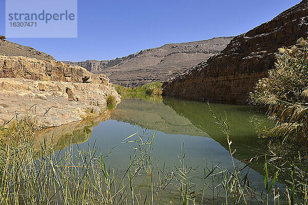 Afrika  Algerien  Tassili N'Ajjer National Park  Iherir  Wasser in einem Guelta in der Idaran-Schlucht