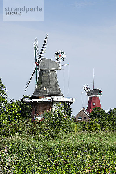 Deutschland  Niedersachsen  Krummhorn  Historische Windmühlen in Greetsiel