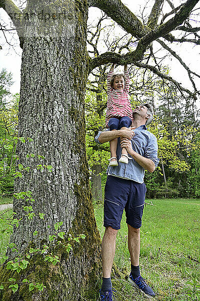 Verspielte Tochter mit Vater Unterstützung hängen auf Zweig des Baumes im Wald