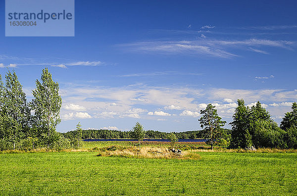 Schweden  Smaland  Kalmar laen  Vimmerby  Landschaft