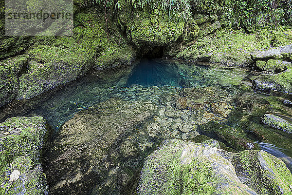 Neuseeland  Kahurangi National Park  Te Puna o Riuwaka  Quelle des Wassers