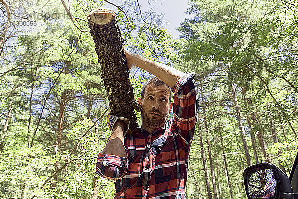 Holzfäller trägt Baumstamm auf der Schulter im Wald