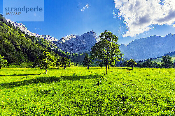Österreich  Tirol  Vomp  Lebendige grüne Landschaft des Unterinntals im Sommer