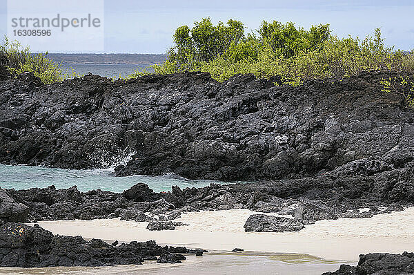 Ozeanien  Galapagos-Inseln  Santa Cruz  Blick auf die felsige Küste am Playa Las Bachas