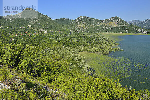 Montenegro  Crna Gora  Skutari  Blick auf den Nationalpark Skadar See