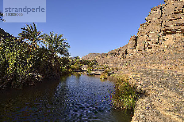 Algerien  Tassili n' Ajjer  Sahara  Wasser und Palmen bei Iherir