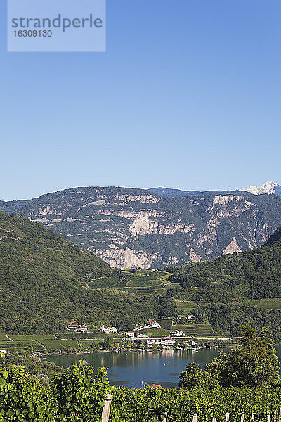 Italien  Südtirol  Kalterer See  Lago di Caldaro  Weinbaugebiet