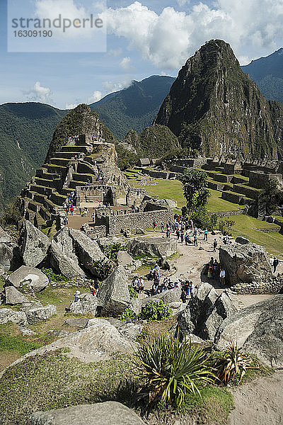 Peru  Anden  Machu Picchu