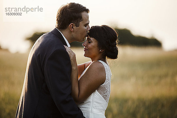 Bräutigam küsst die Braut auf die Stirn  während er bei Sonnenuntergang auf einem Feld steht