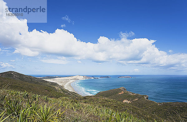 Neuseeland  Northland  Cape Reinga Gebiet  Cape Maria van Diemen mit Sanddünen und Strand