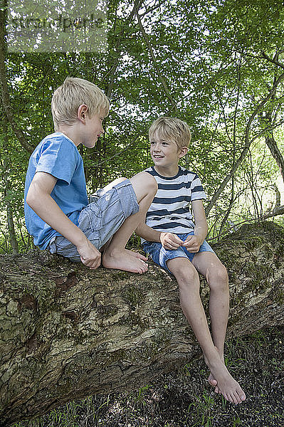 Deutschland  Bayern  zwei Jungen sitzen auf einem Baum im Stadtwald