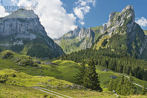 Schweiz  Appenzell  Alpstein  Blick zum Widderalpstöckli