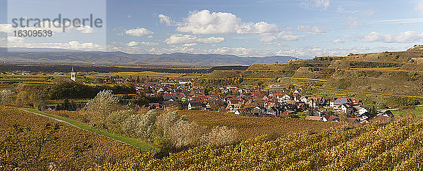 Deutschland  Baden-Württemberg  Oberrotweil  Ortsteil von Vogtsburg im Kaiserstuhl  im Hintergrund Vogesen