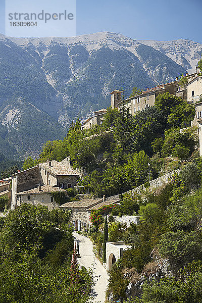 Frankreich  Brantes  Vaucluse  Provence  Mont Ventoux