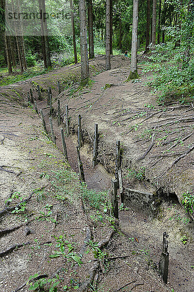 Frankreich  Lothringen  Departement Maas  Verdun  Fort Douaumont  Schützengraben